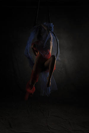 DSC_0347