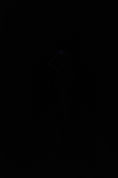 DSC_8454