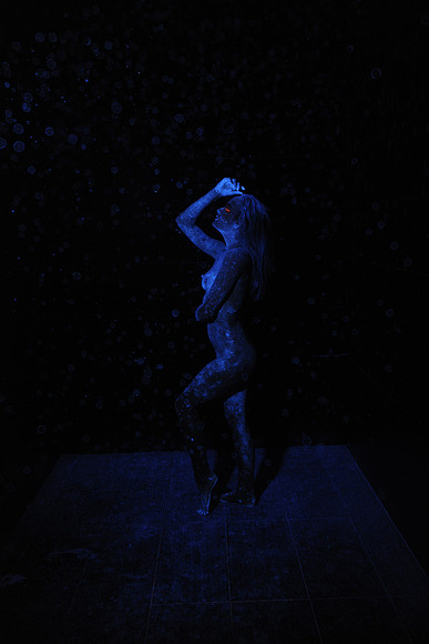 DSC_8453