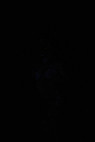 DSC_8414
