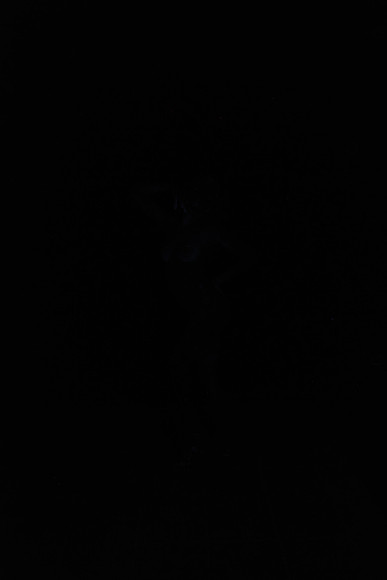 DSC_8460