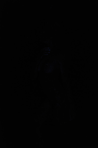 DSC_8499