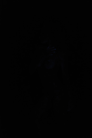 DSC_8500