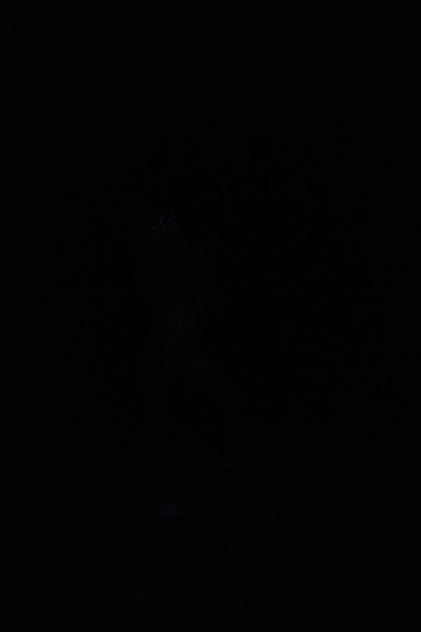 DSC_8475