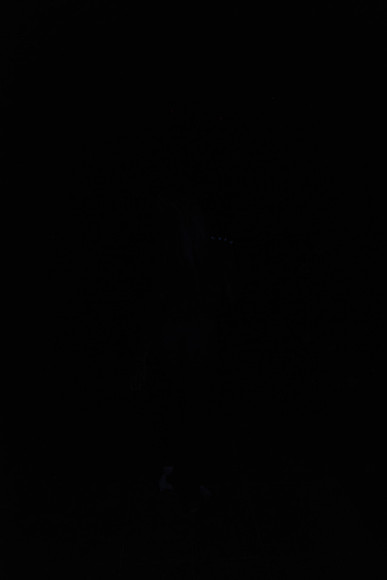 DSC_8437