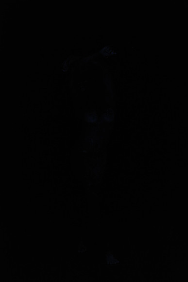 DSC_8431