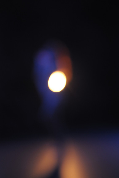 DSC_8521