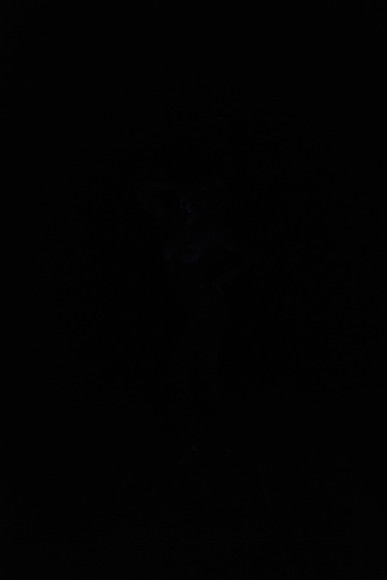 DSC_8458