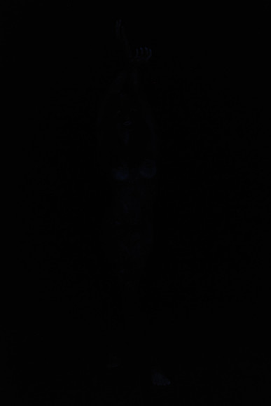 DSC_8433