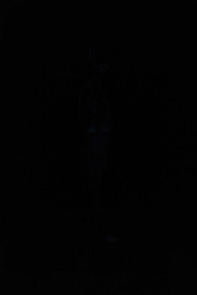 DSC_8435