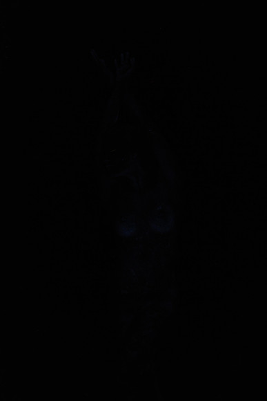 DSC_8416