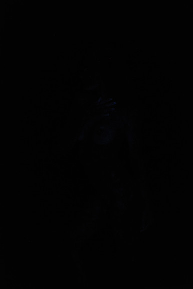 DSC_8501