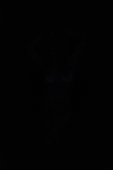 DSC_8491