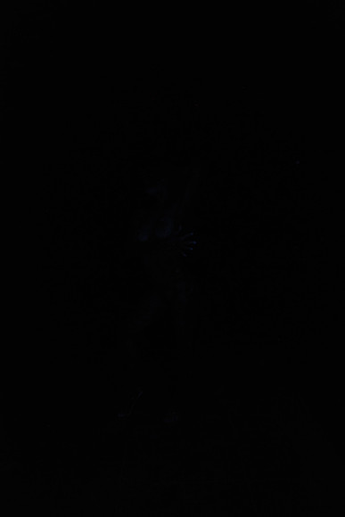 DSC_8450