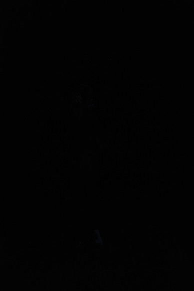 DSC_8440