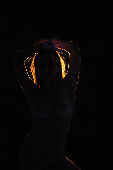 DSC_8584