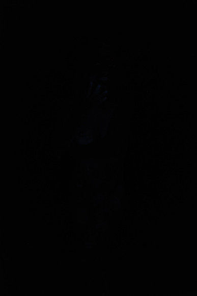 DSC_8485