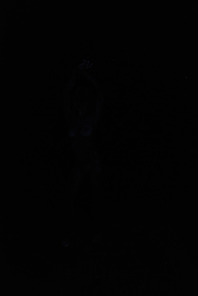 DSC_8447