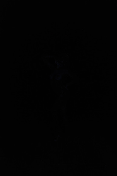 DSC_8457