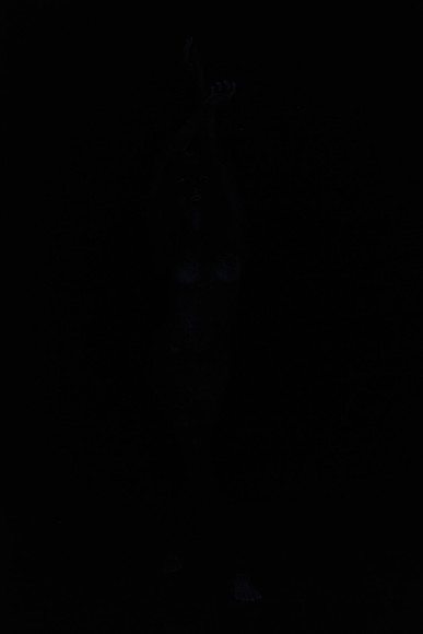 DSC_8434