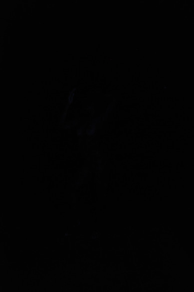 DSC_8449