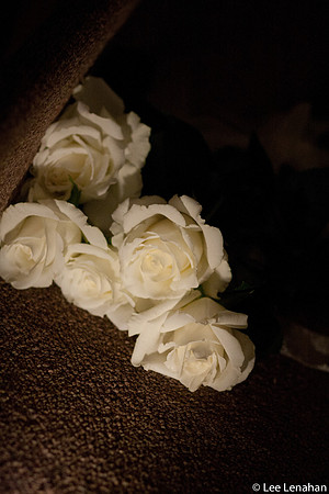 Studio 9*-120