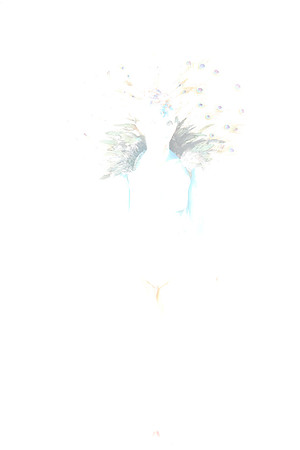 R61_9598